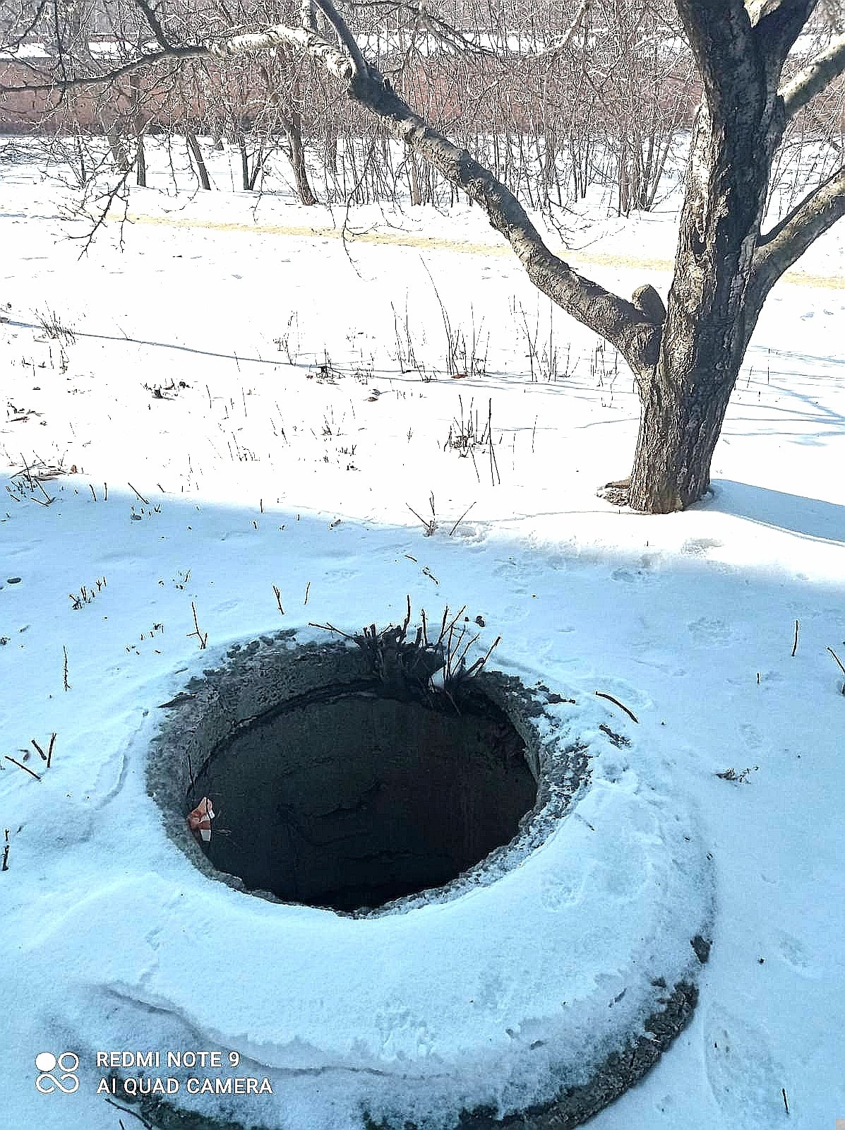 Новые провалы на Огнивке. Фото: https://www.facebook.com/inspekciyablag.ua/