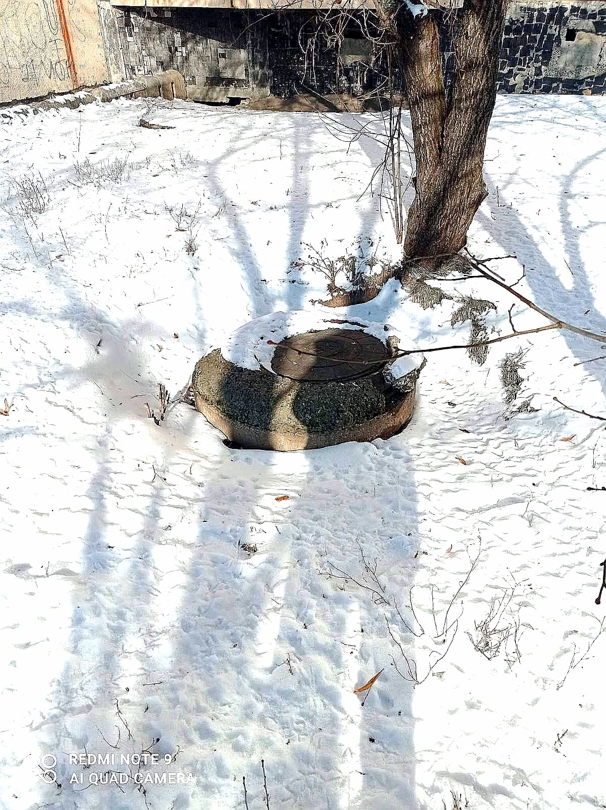 Новые провалы на Огнивке. Фото: https://www.facebook.com/inspekciyablag.ua/