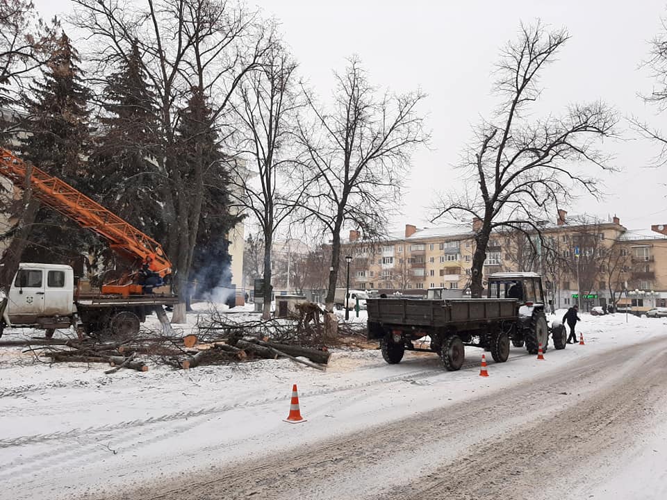 КП "Декоративные культуры" вырезают вокруг театра имени Николая Гоголя деревья