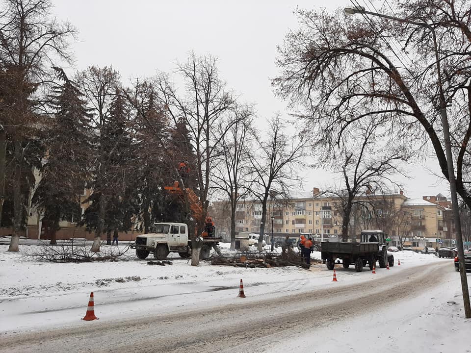 КП "Декоративные культуры" вырезают вокруг театра имени Николая Гоголя деревья