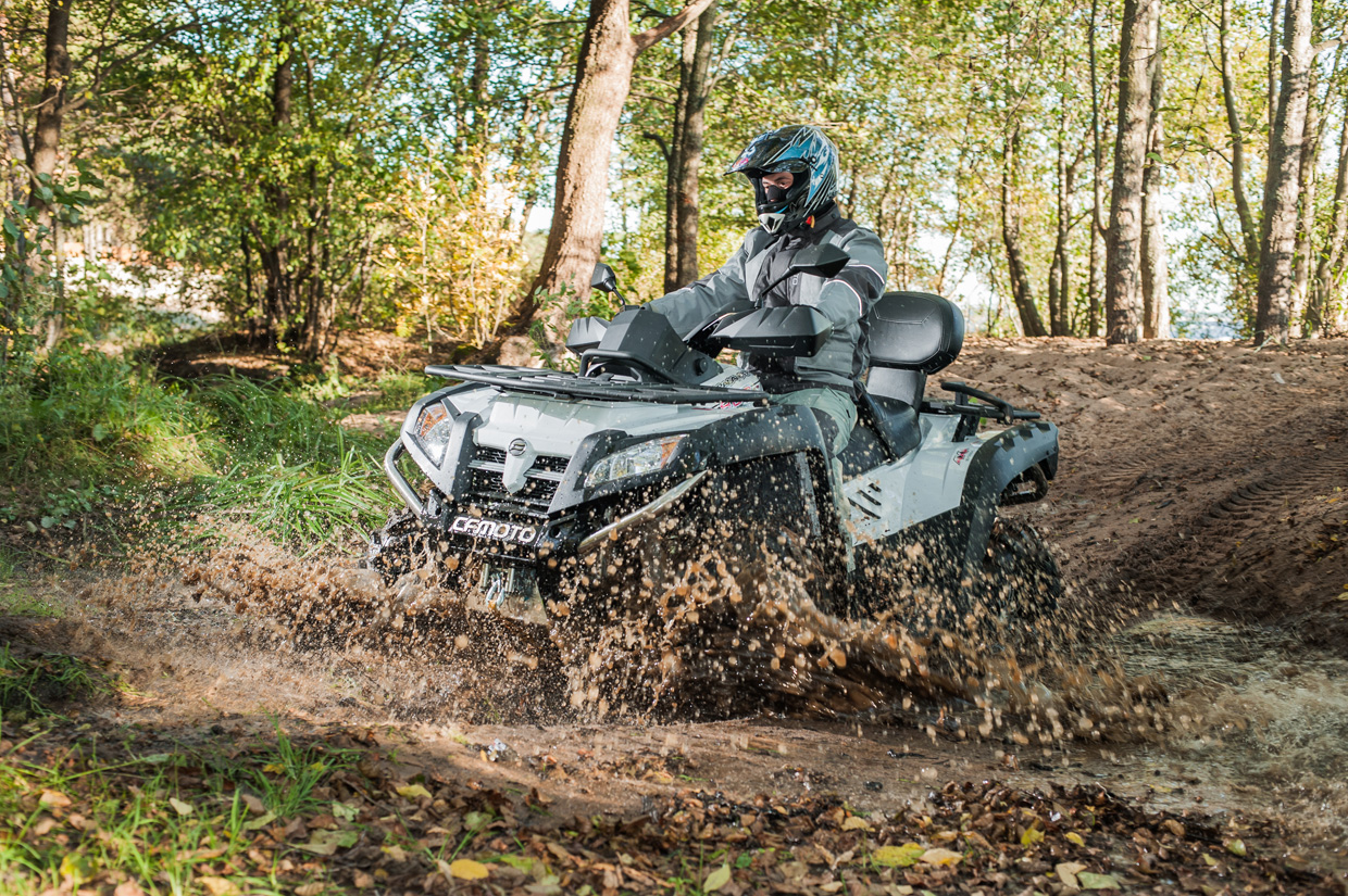 Фото: https://kvadrodog.ru/