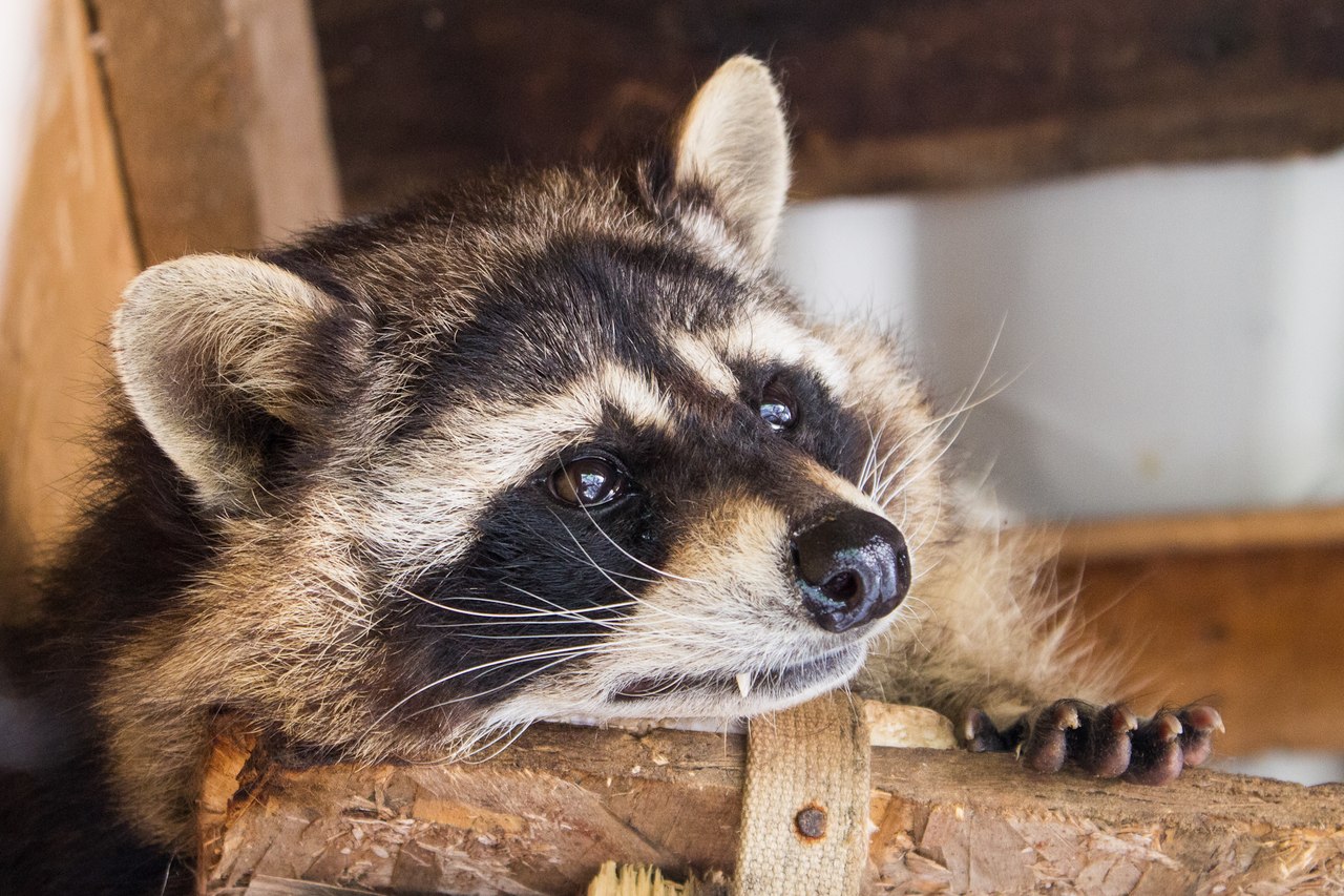 Фото: https://tour-weekend.pl.ua/