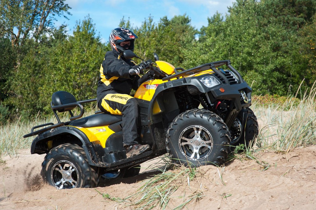 Фото: https://kvadrodog.ru/