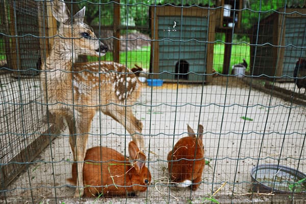 Фото: https://cheaphotels.pl.ua/