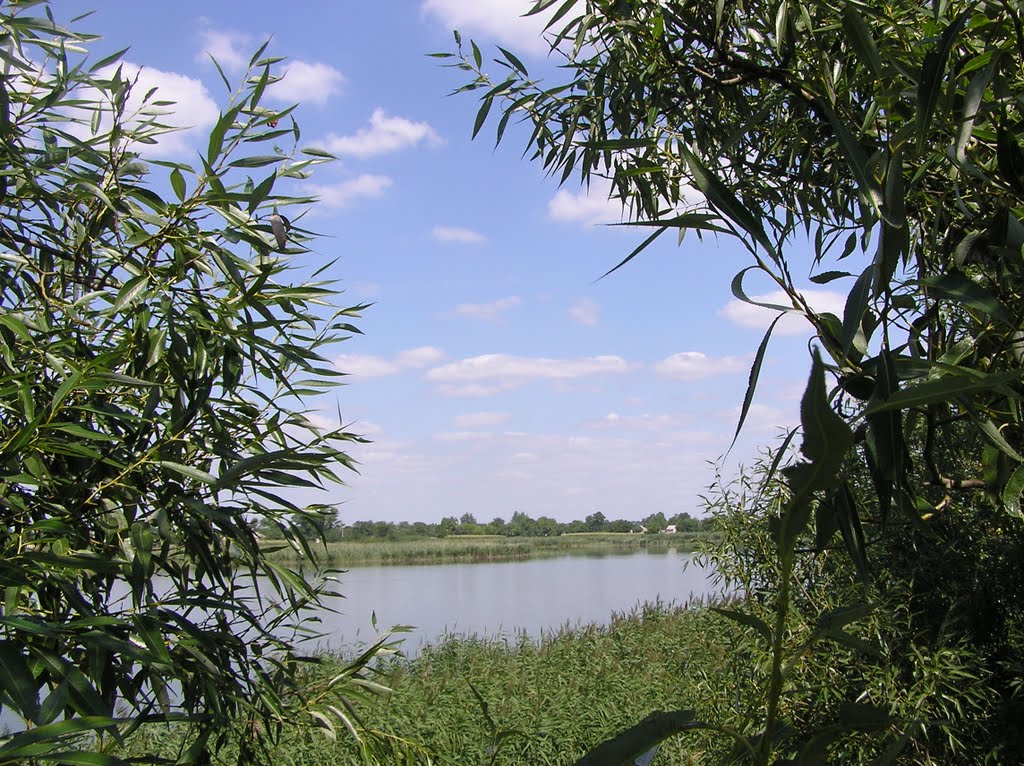 Заказник "Граково"