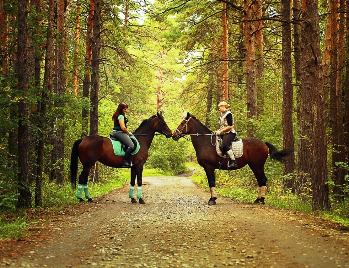 Конный клуб "Шлях до Мрії"