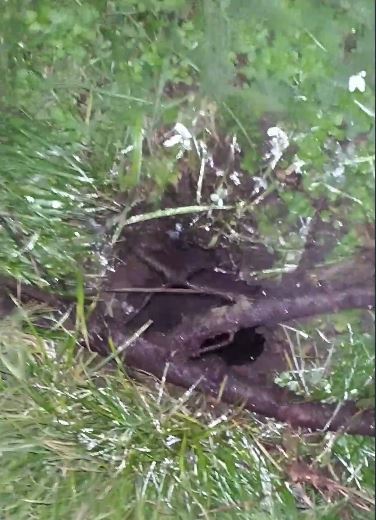 Провал небольшой, но дна не видно