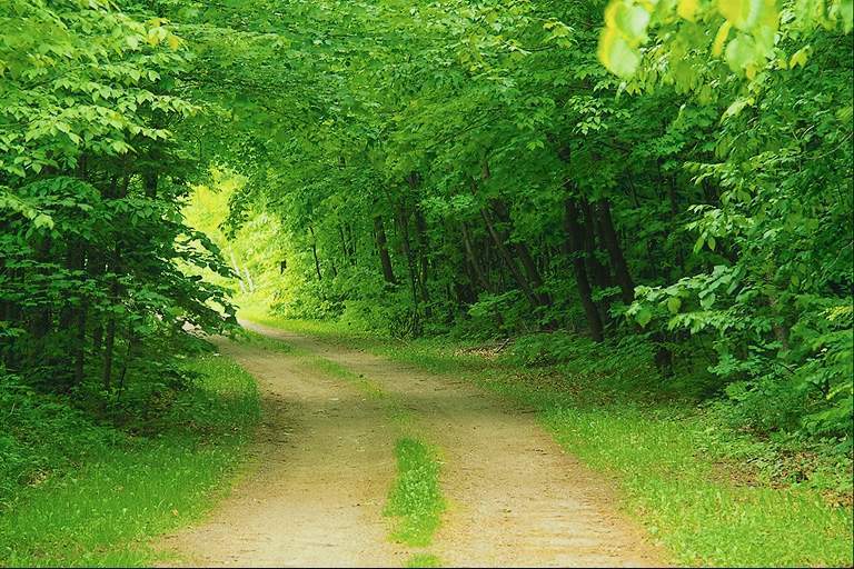 Диканьский национальный природный парк