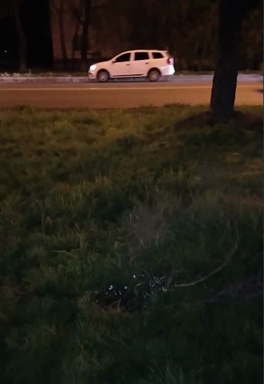 В густой траве провала не видно