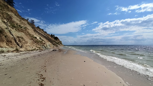 Экскурсию на гору Пивиха. Фото: http://femil.org.ua/