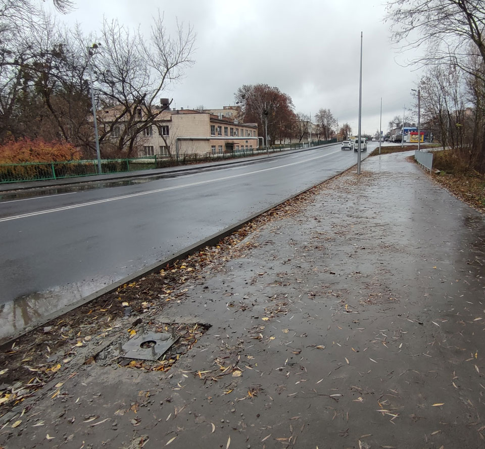 Столбы на улице Петлюры. Фото: poltava.to