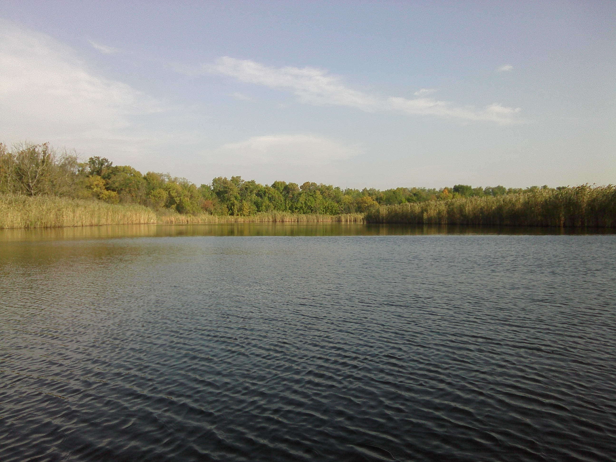 Фото: https://south.life/