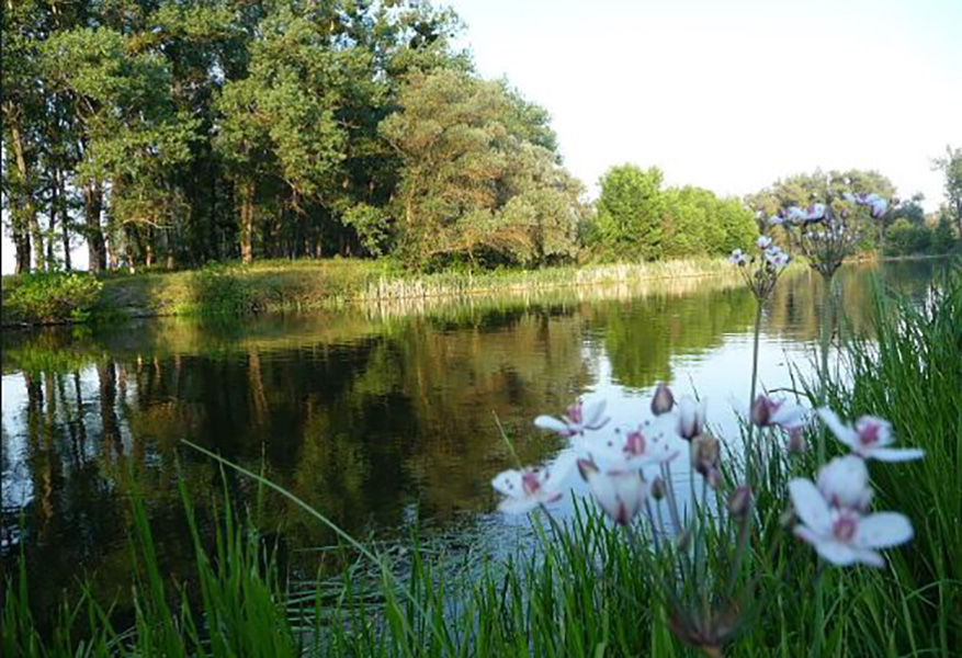 Гадячский региональный ландшафтный парк