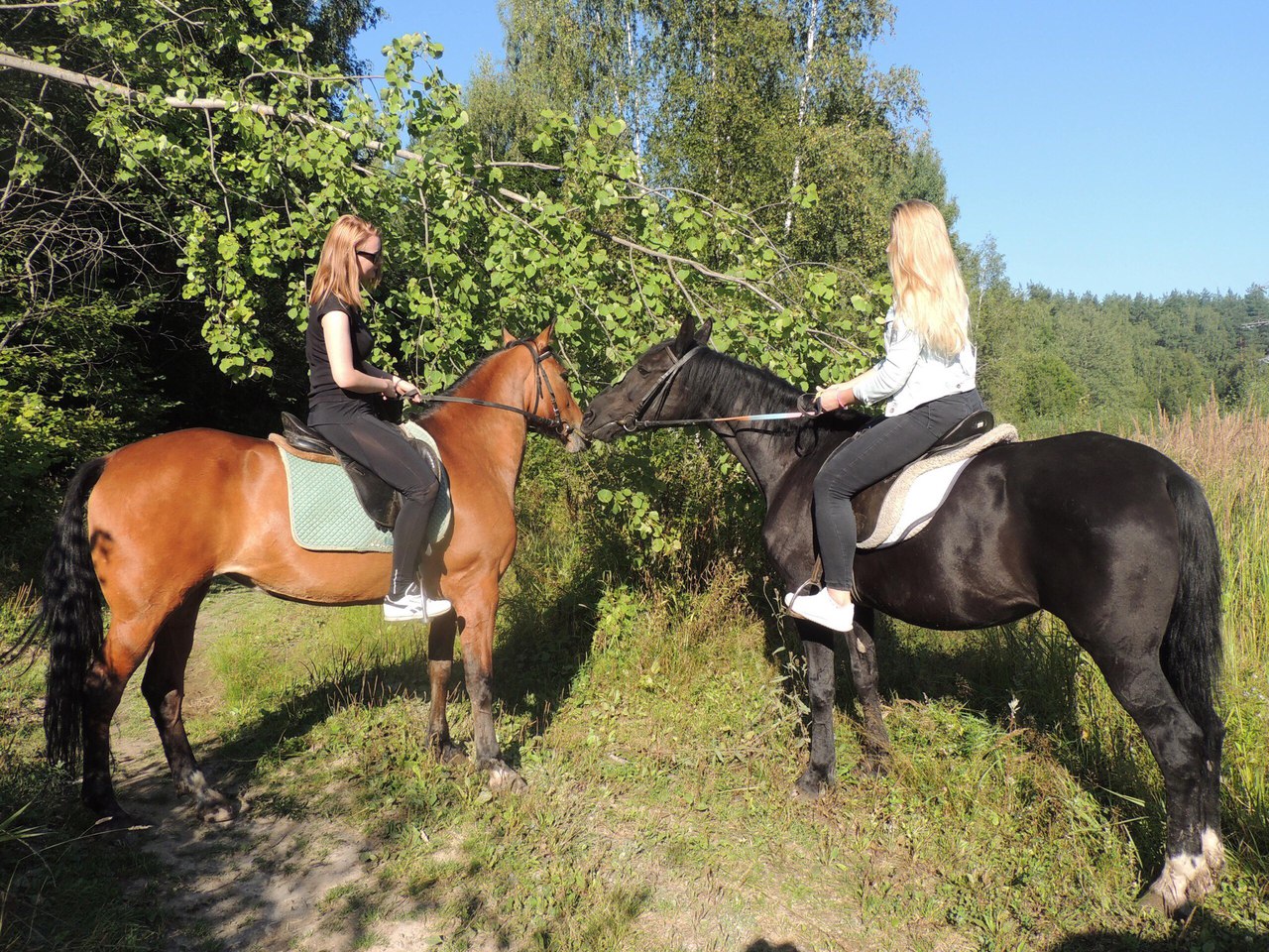 Конный клуб ”Гармония”