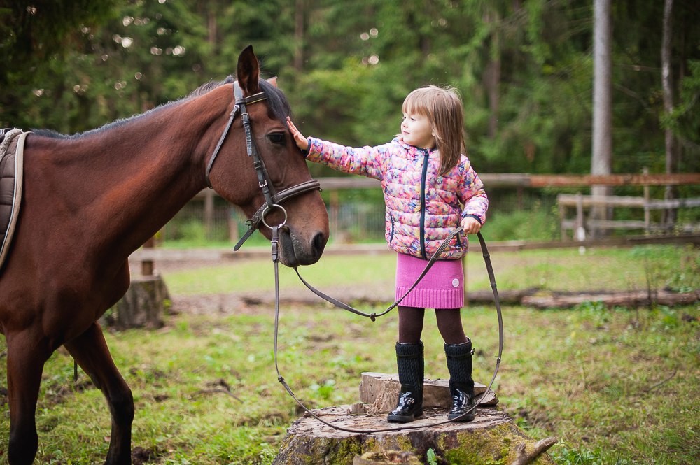 Конный Клуб "Лесная Сказка"