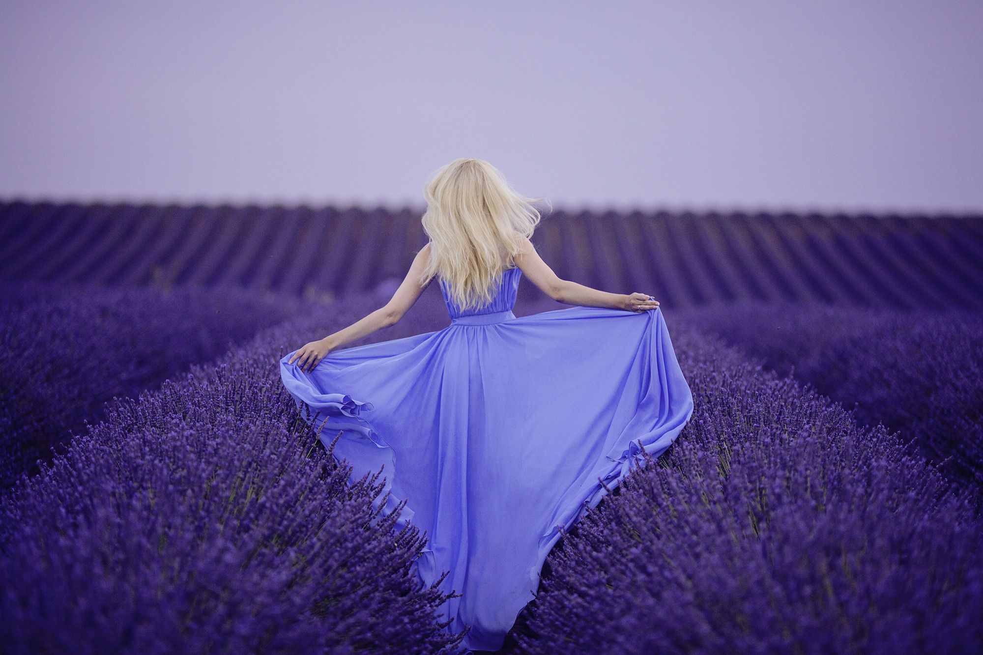 "Леди в лавандовом". Фото: https://www.pinterest.com/