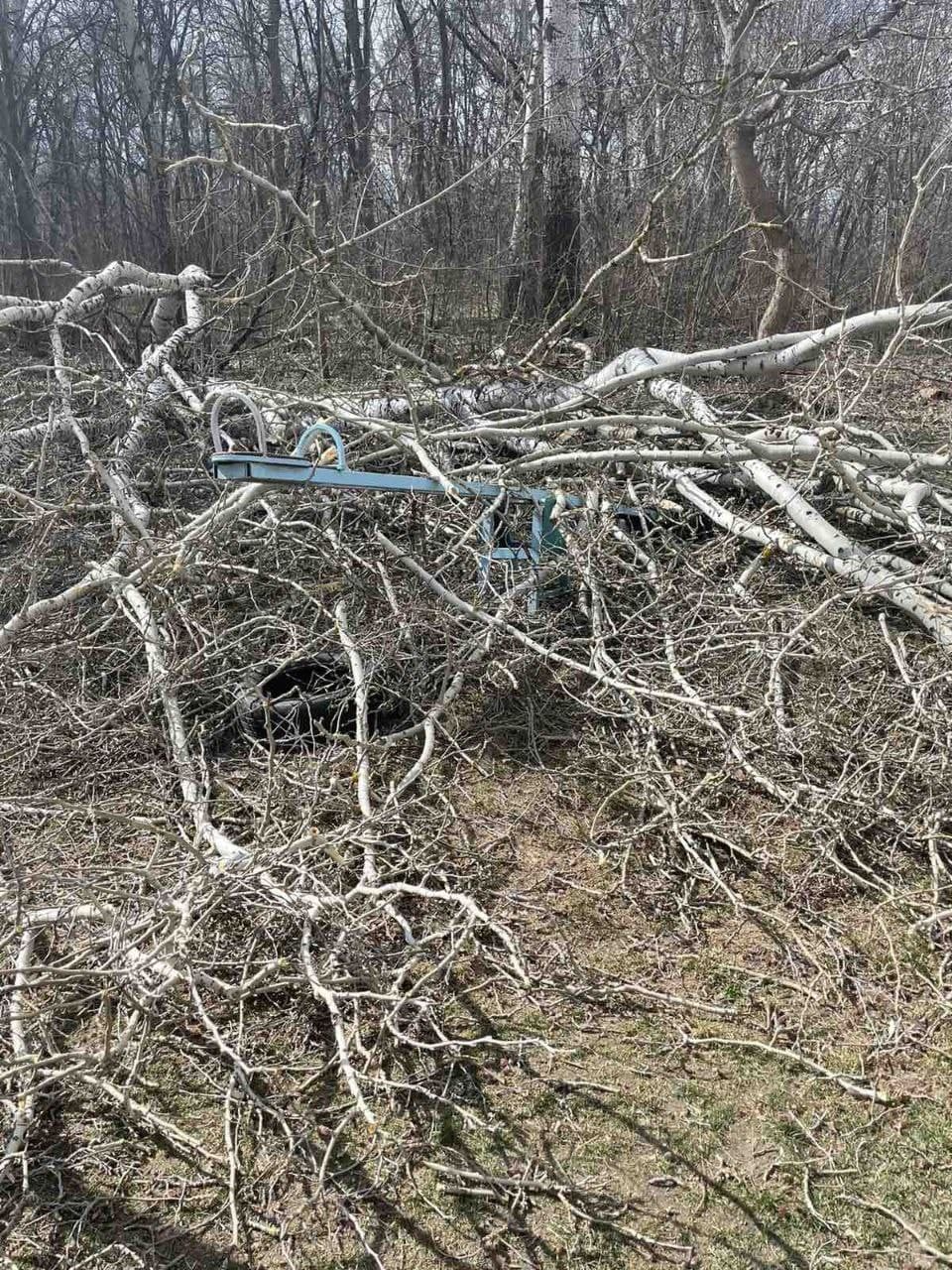 Дети играли рядом с площадкой. Фото: https://poltava.to