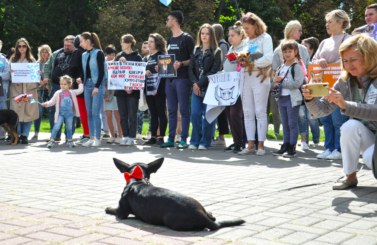 Марш в защиту прав животных. Фото: poltava.to/