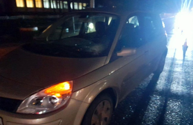 На Алмазном Renault сбил 68-летнюю женщину фото: Патрульная полиция Полтавщины