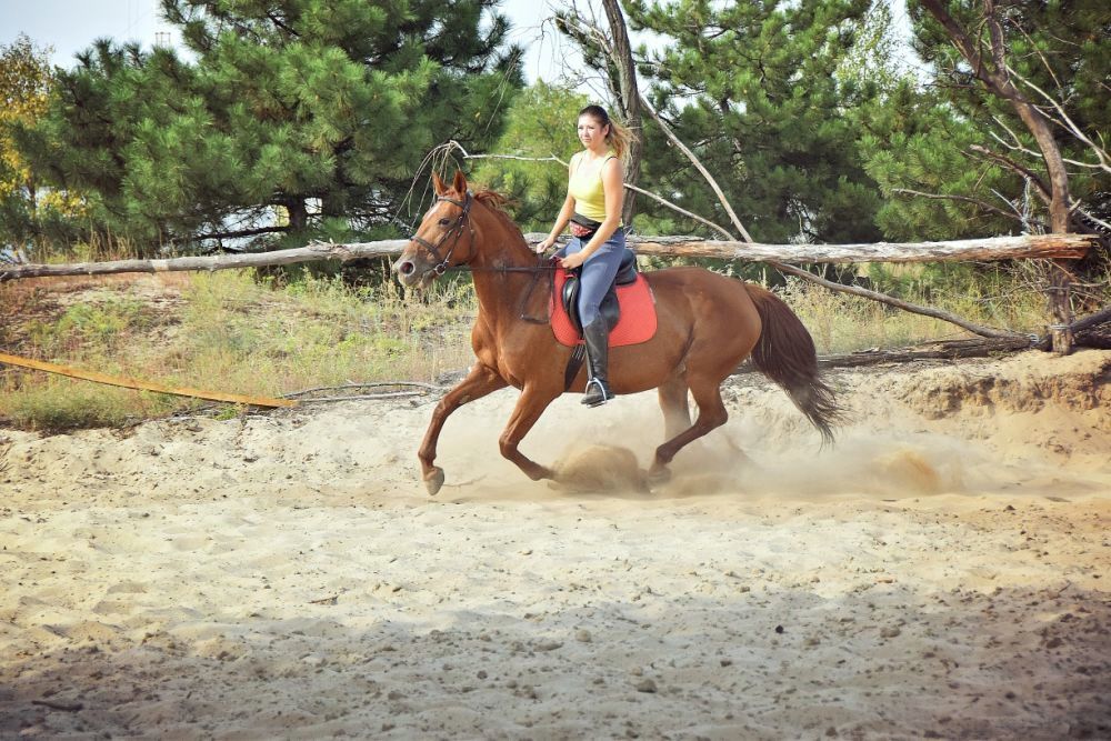 Верховая езда в Полтаве