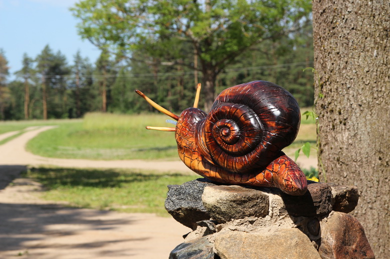 "Лесные улитки" и кони