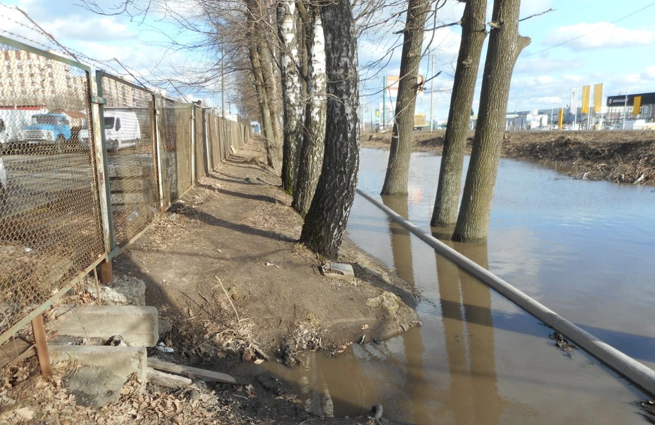 Болото вдоль дороги. Фото: poltava.to