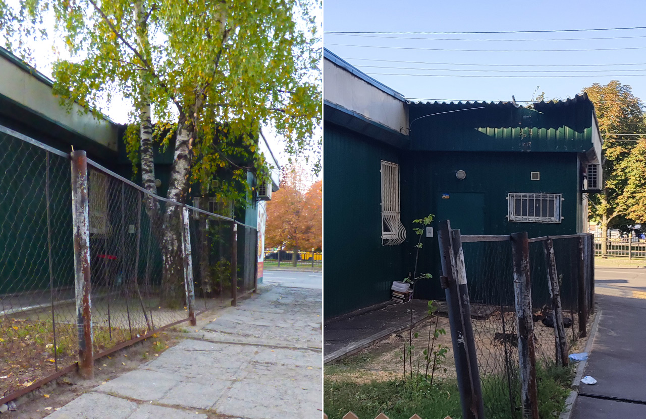 В центре Полтавы неизвестные срезали две березы. Фото: https://poltava.to