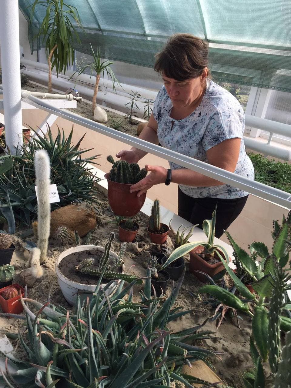 Коллекция цветочно-декоративных растений насчитывает около 56 видов. Фото: http://ekocentrpoltava.ucoz.com/