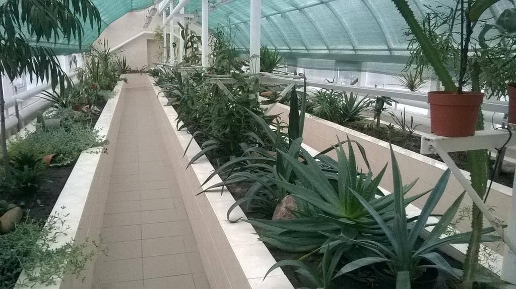 Растения в теплице. Фото: http://ekocentrpoltava.ucoz.com/