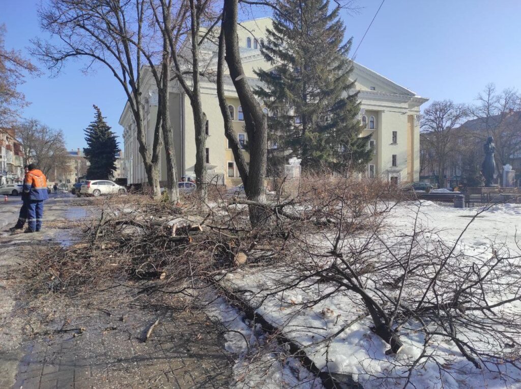 Сегодня в центре Полтавы обрезают деревья. Фото: zmist.pl.ua
