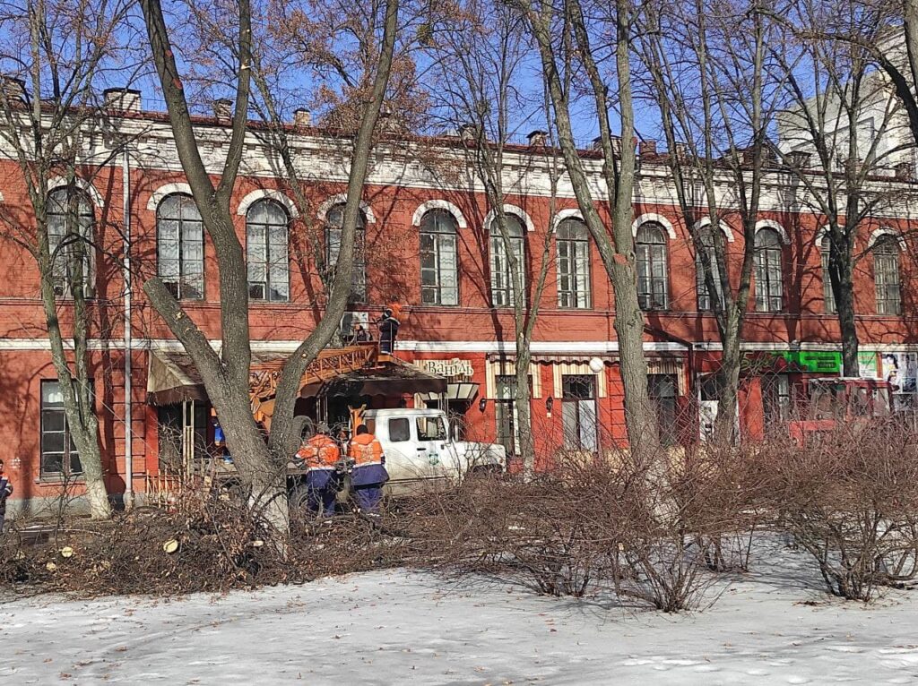 Сегодня в центре Полтавы обрезают деревья. Фото: zmist.pl.ua