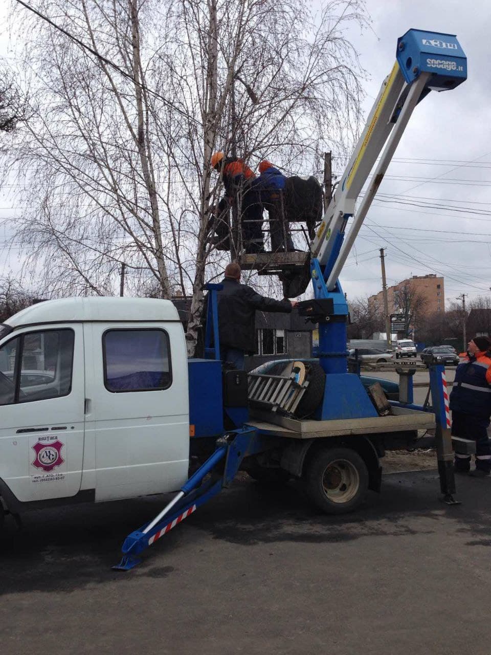 Светофор на С. Петлюры. Фото: https://t.me/novyny_zhkh_plt