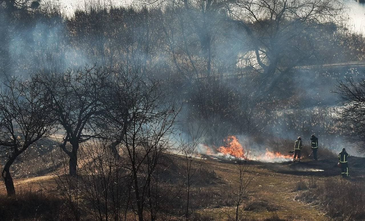 Устроили пожар недалеко от жилых домов. Фото: https://t.me/v_plt
