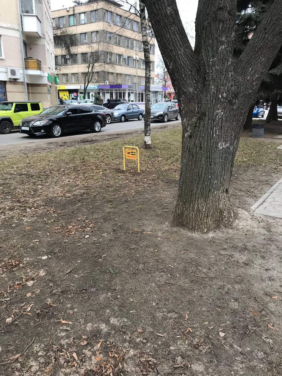 Знак на ул. Ляли Убийвовк. Фото: @yeti_the_first