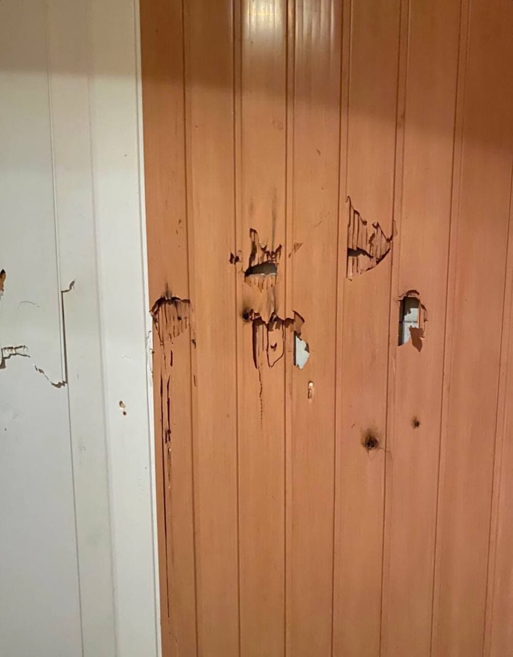 Студенты недовольны условиями проживания. Фото: https://t.me/u_poltavi