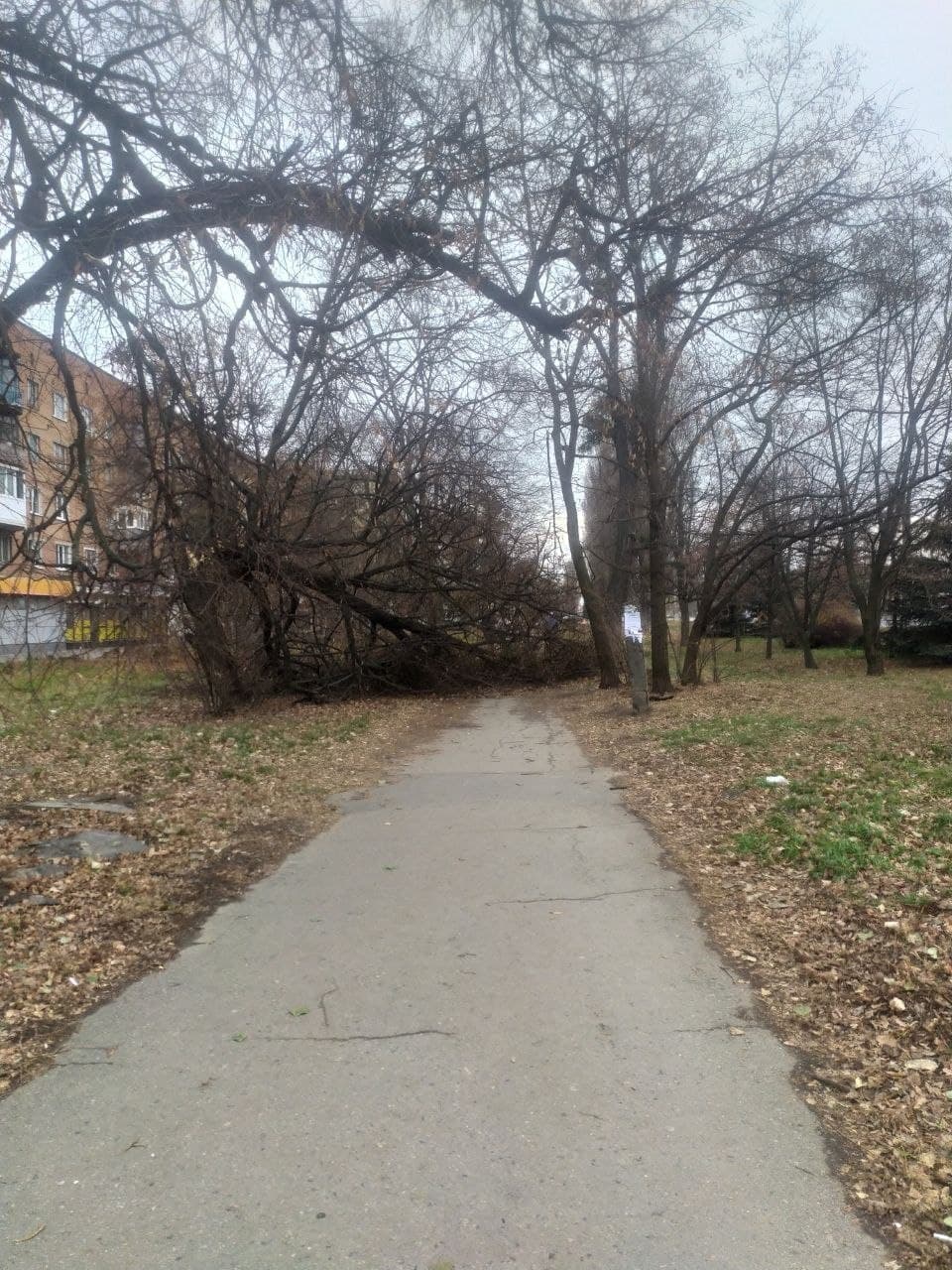 Пока о пострадавших неизвестно