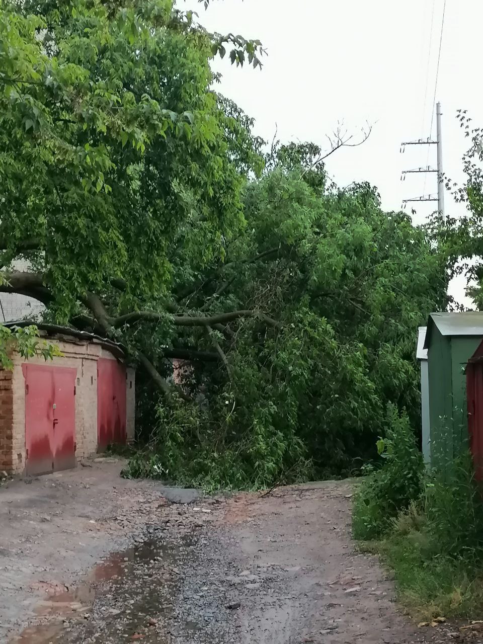 З'явились фото наслідків негоди у Полтаві