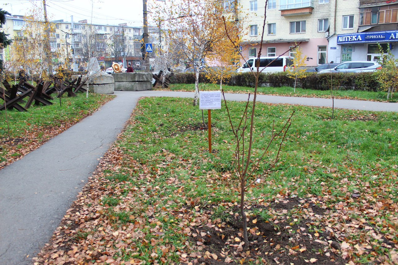 У Полтаві невідомі вкрали сакури з клумби біля райради