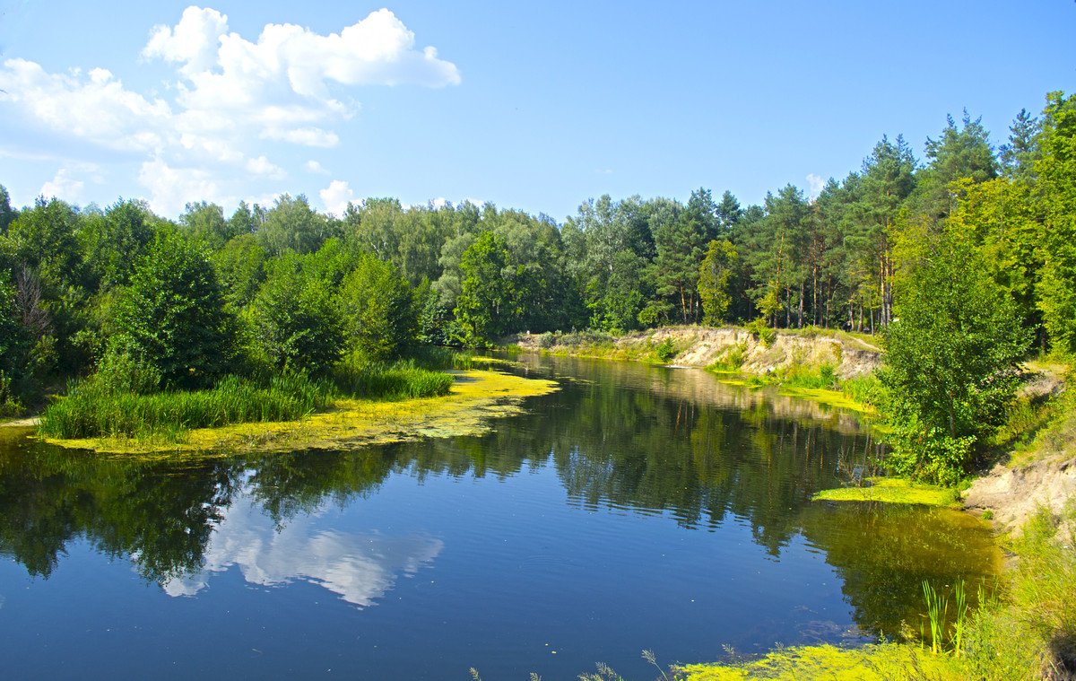 Отдых на Псле