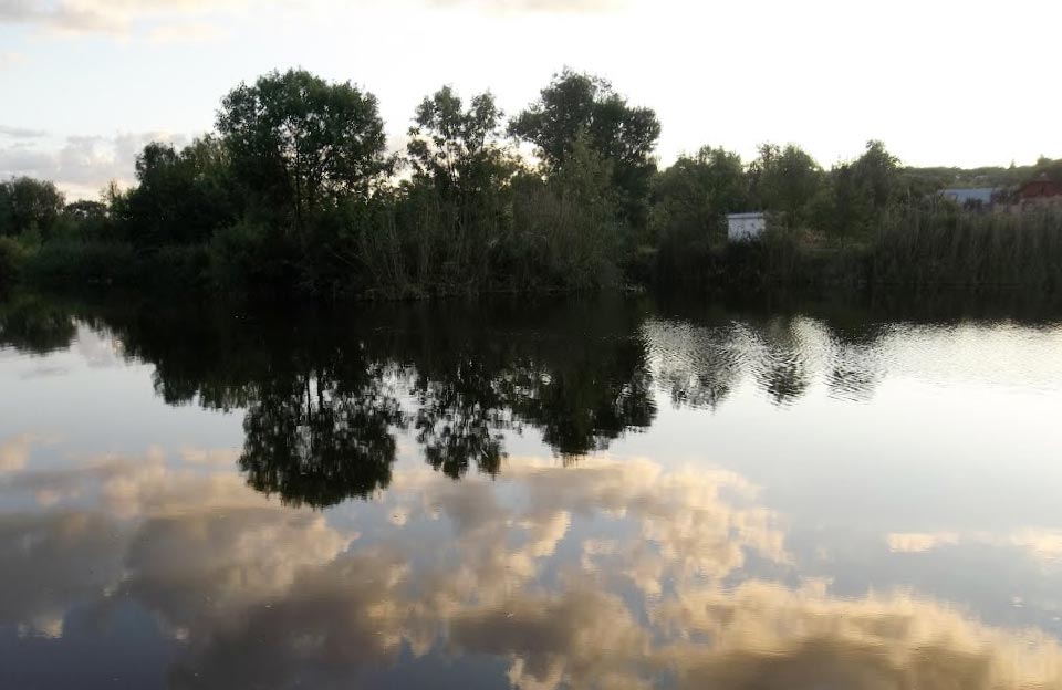 Русский орчик