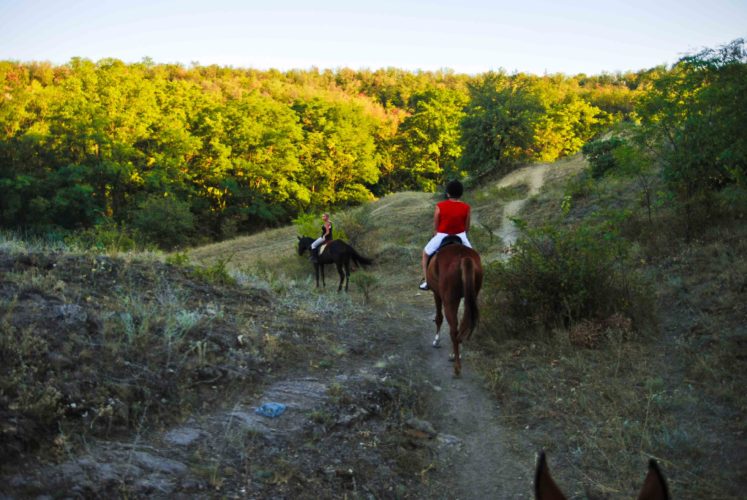 Прогулки на конях