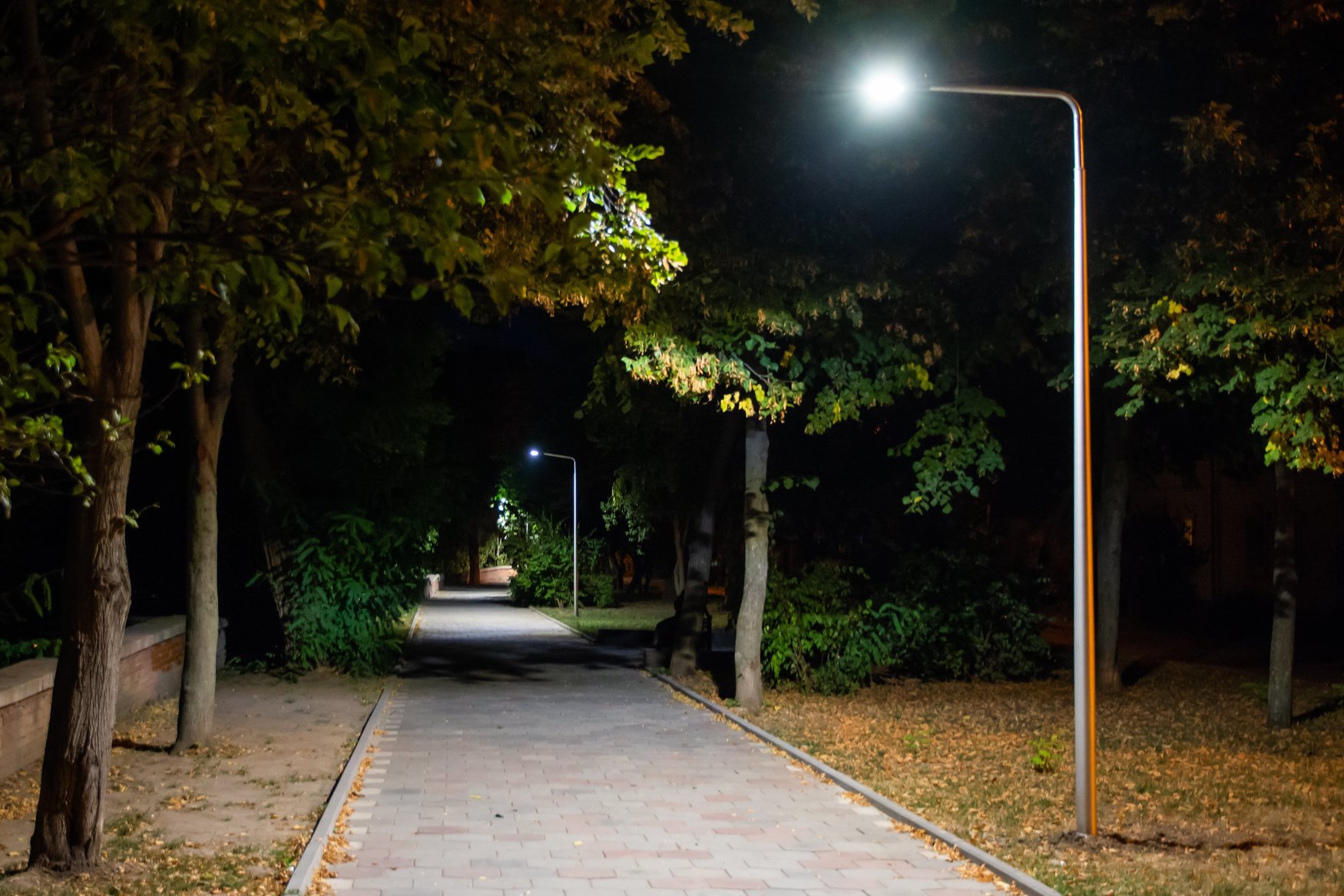 Заменили 5 фонарей на аллее по Панянском бульваре