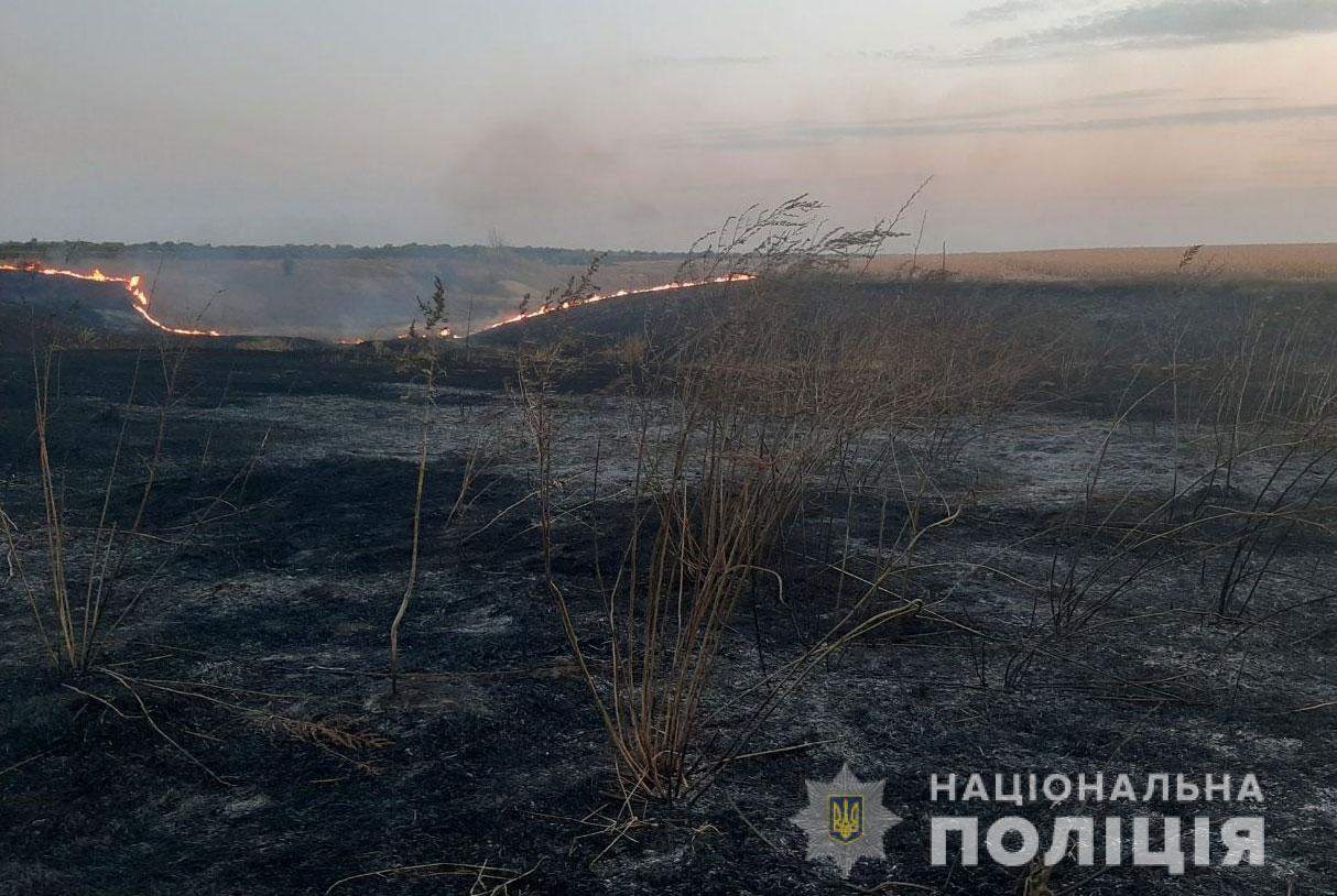 Под Полтавой сгорело 50 гектаров кукурузного поля