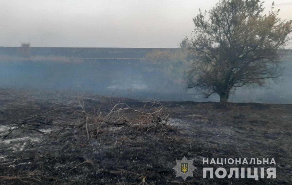 Под Полтавой сгорело 50 гектаров кукурузного поля