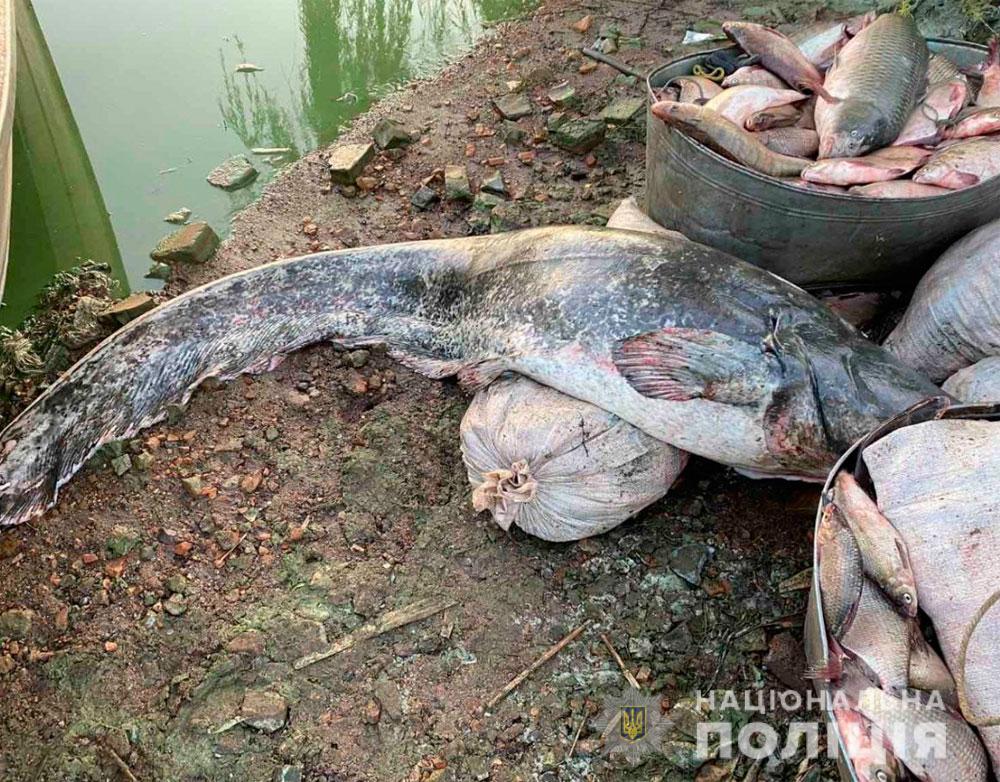На Полтавщине задержали браконьеров с полутонным уловом рыбы