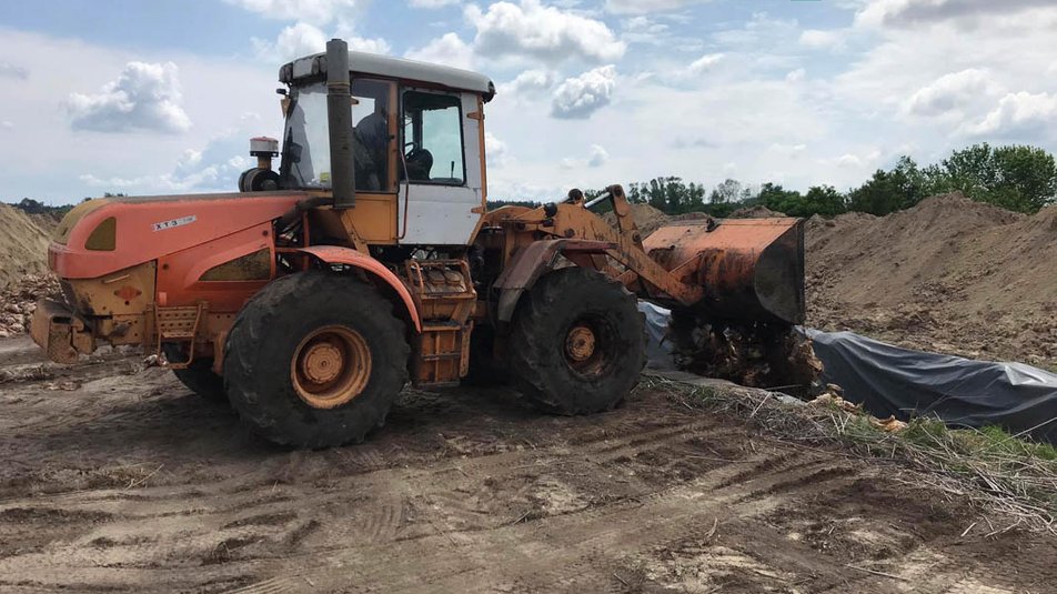 На Полтавщине погибло 600 тыс кур