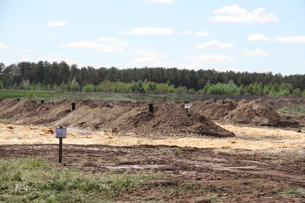 На кременчугской птицефабрике до сих пор не утилизировали мертвых кур