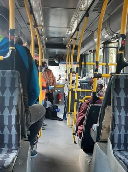 В автобусе на Полтавщине ездит собака в защитной маске