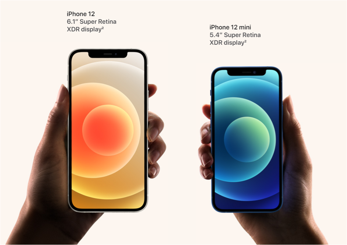 Размеры новых моделей iPhone. Фото: Apple