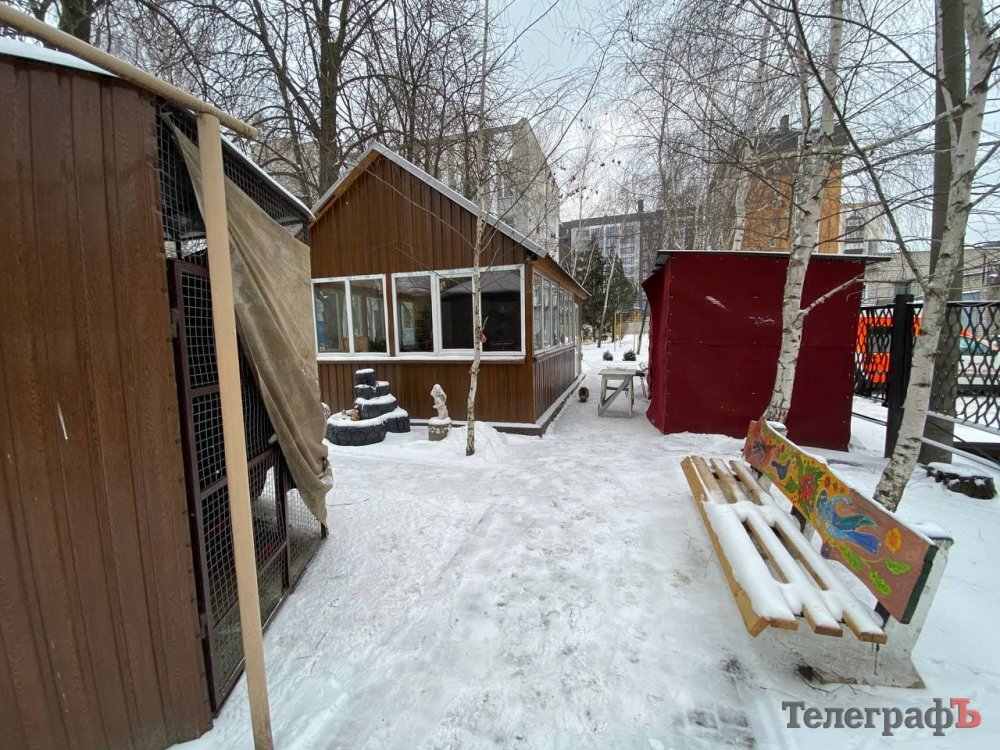 На Полтавщине в госпитале появились вольеры с экзотическими птицами. Фото: ТелеграфЪ